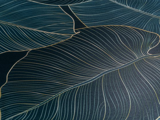 Premium WC-Sitz Mod. Big Leaves mit Relief, aus antibakteriellem Duroplast