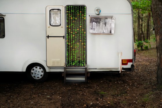 Blättervorhang Sonnenblumen, schützt vor Insekten & Blicken 