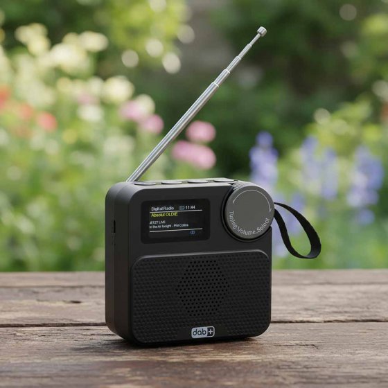 Portables DAB+-Multifunktionsradio  