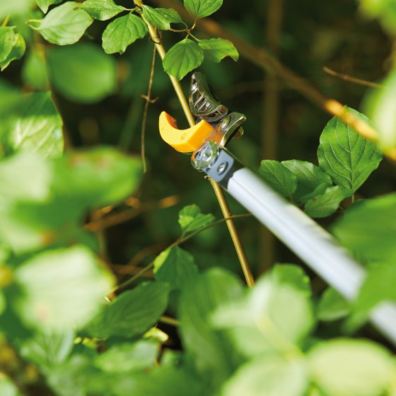 Teleskopierbare Baumschere mit Säge 